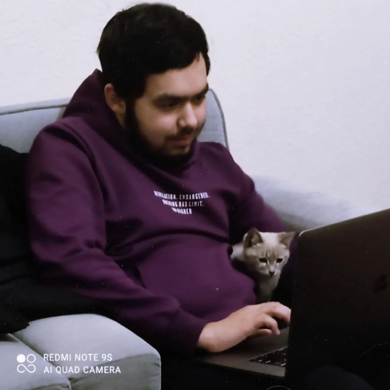working on my laptop with the cat i adopted